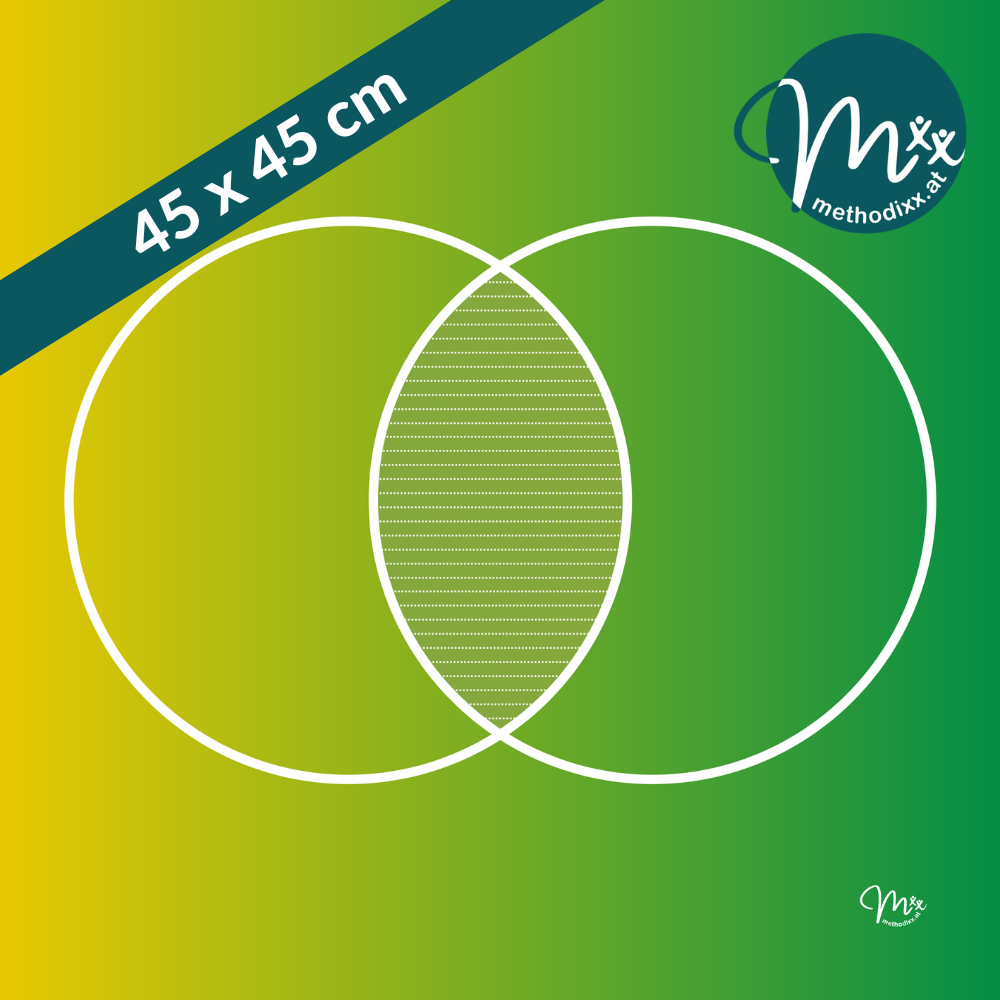 Kreis-Modell - Methodixx Tuch für Beratung, Training & Coaching